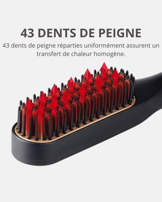 Brosse Lissante Portable 2-en-1